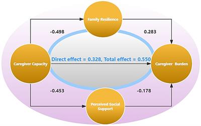 Family resilience and social support as mediators of caregiver burden and capacity in stroke caregivers: a cross-sectional study